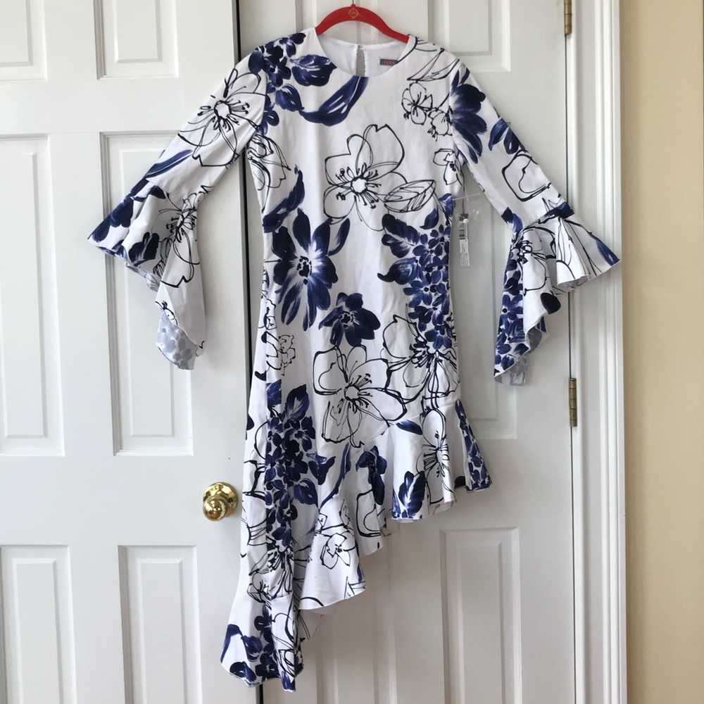 NWT Issue New York Assymetrical Ruffle Dress